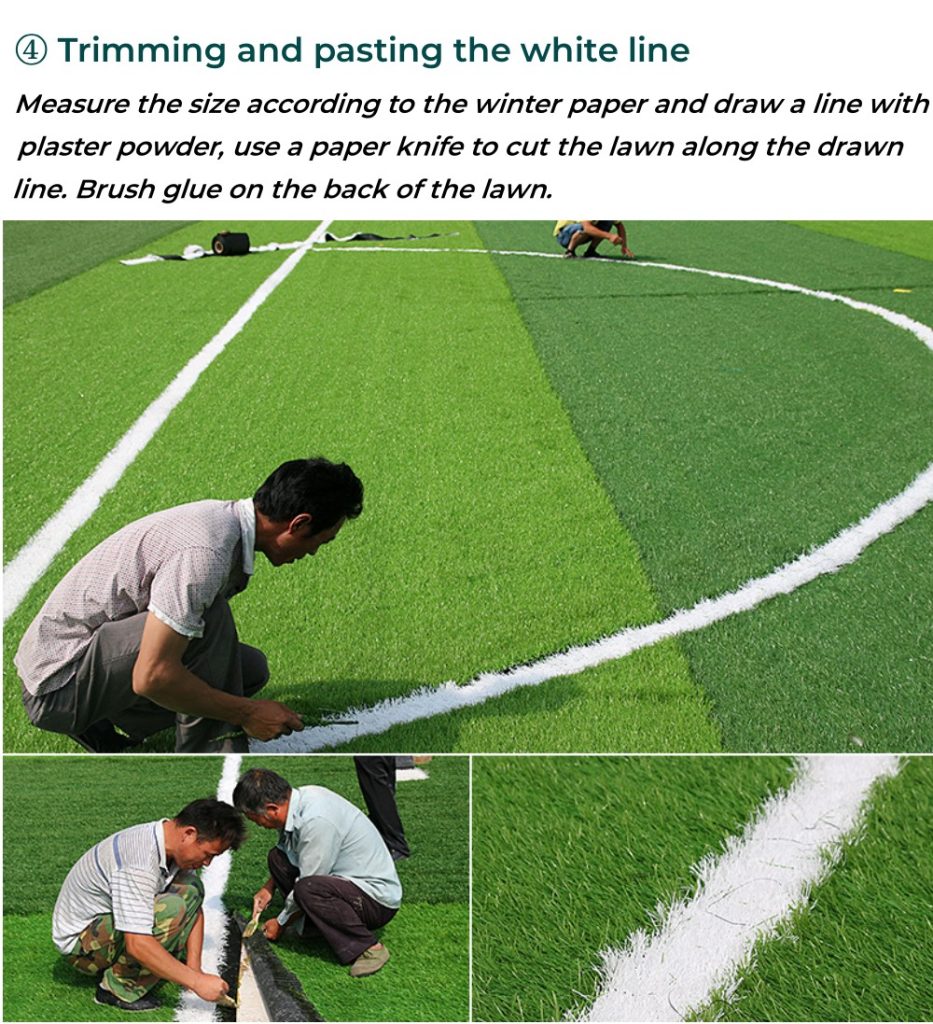 soccer grass