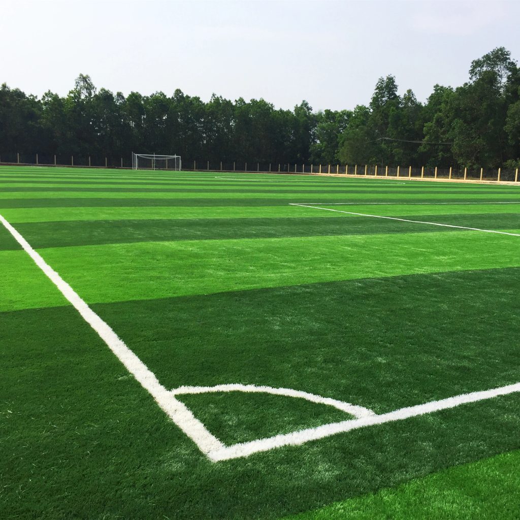 artificial turf around pool